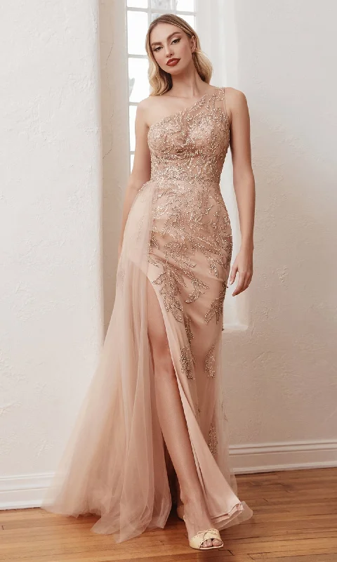 Grab Romantic Date - Night Styles Now One-Shoulder Rose Gold Long Formal Gown CB098